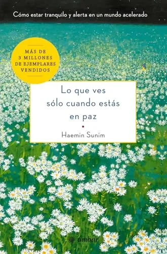 Lo Que Ves Sólo Cuando Estás En Paz: Cómo Estar Tranquilo Y Alerta En Un Mundo Acelerado: Cómo estar tranquilo y alerta en un mundo acelerado/ How to Be Calm and Mindful in a Fast-Paced World