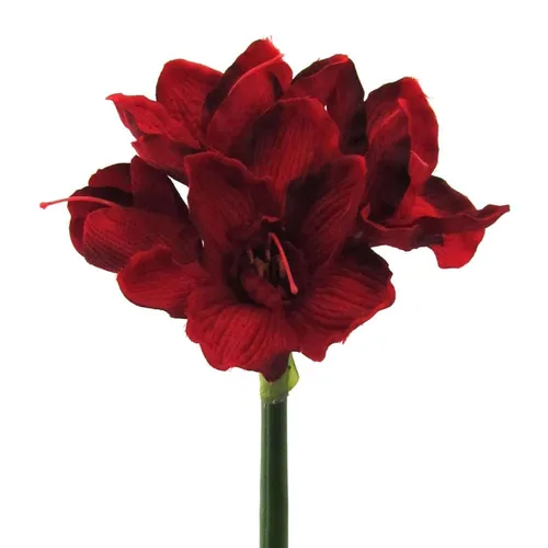 Kunstblume AMARYLLIS Dunkelrot, 66 cm - Elegante Kunstblume Amaryllis mit 4 Blüten, perfekt für jeden Anlass. Ideal zur Dekoration und für eine ansprechende Atmosphäre in Ihrem Zuhause.