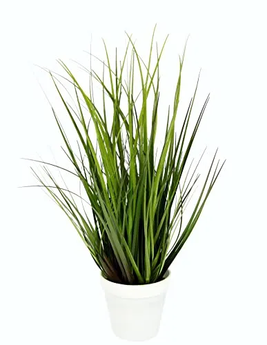 I.GE.A. Kunstpflanze Grasbusch, 52 cm im Topf - Künstliche Pflanzen, Pflegeleichter Ziergrasbusch, ideal für Innenräume und geschützte Außenbereiche, langlebig und einfach zu reinigen.