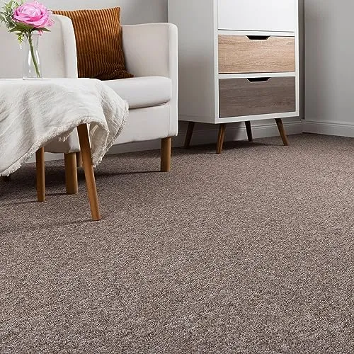 Steffensmeier Schlingen Teppichboden Meddon XL Meterware | Auslegware für Flur Büro | 1m 2m 3m 4m 5m breit! | Sand, Größe: 500x600 cm