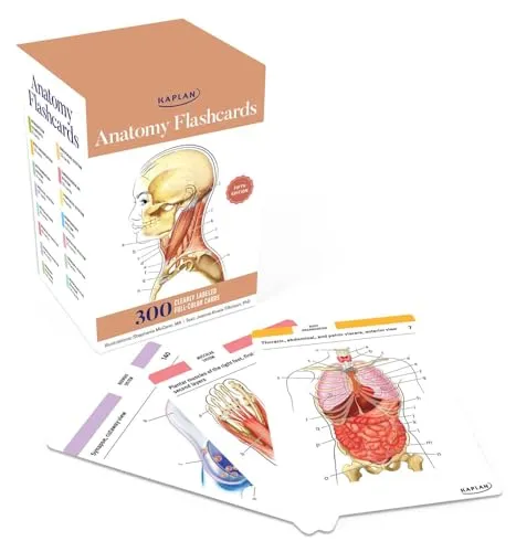 Anatomie Lernkarten: 300 präzise illustrierte Karten
