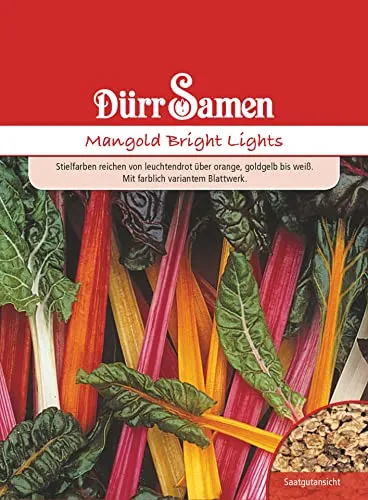 Dürr-Samen - Mangold Bright Lights Saatgut