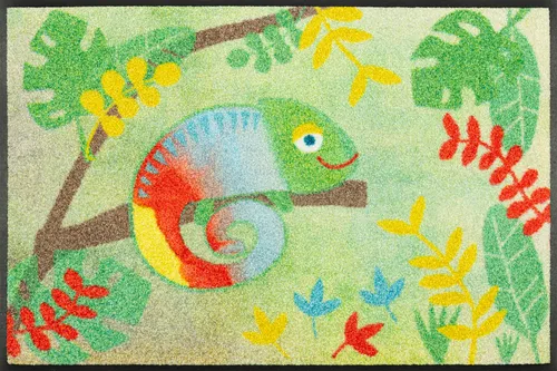 Ab Lager Fußmatte wash+dry Chameluxe ca.50x75cm waschbar Kleen Tex