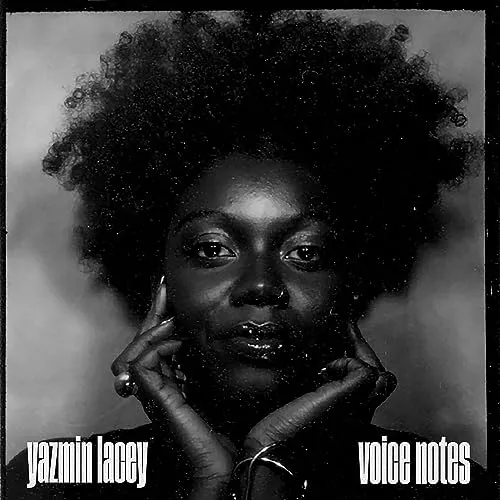 Voice Notes [Vinyl LP]