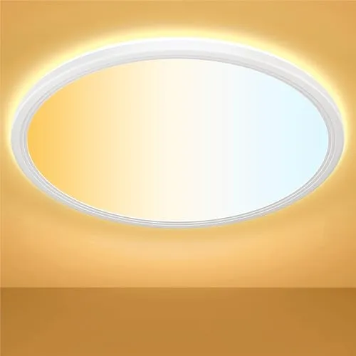 Deckenlampe Led Deckenleuchte Dimmbar mit Fernbedienung, 3000K-6500K 24W 2400LM Ø30cm H2.7cm Rund Flach LED Panel Decke Lampe für Schlafzimmer Badezimmer Küche Wohnzimmer Kinderzimmer IP44 Ultra Dünn