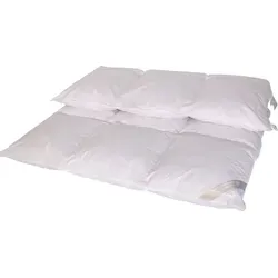 Betten Hofmann Daunenbettdecke Luxus Winter 155x220 cm - Allergiker Bettdecken mit 100% Daunenfüllung, traumhaft warm und leicht. Ideal für kalte Winternächte, waschbar bis 60°C und für Hausstauballergiker geeignet.