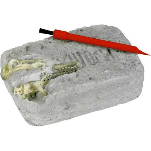 Ausgrabungsset Triceratops - T-Rex World