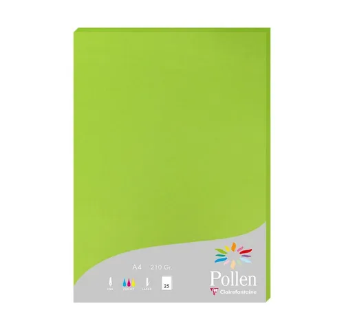 Clairefontaine 24215C - Packung mit 25 Karten Pollen 210g, DIN A4, 21 x 29,7cm, Minze