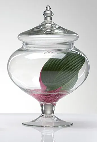 Sandra Rich 360536 Glasdose, Glas, transparent, 20 x 10 x 10 cm