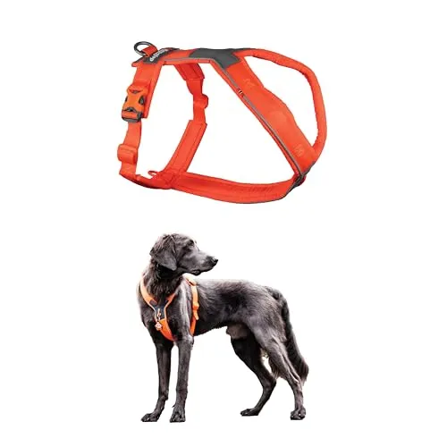 Non-stop dogwear Line Harness 5.0 - Gepolstertes Hundegeschirr für kleine bis große Hunde, ideal für aktive Abenteuer wie Wandern und Laufen. Ergonomisches Design mit reflektierenden Details für Sicherheit bei jedem Wetter.
