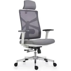 Ergonomischer Bürostuhl mit Adaptiver Rückenlehne 4D Armlehnen