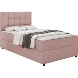 Mirjan24 Boxbett Rosa 120x200 cm - Elegantes Boxspringbett mit Bettkasten für zusätzlichen Stauraum, Härtegrad H3, ideal für ein komfortables Schlafzimmer.