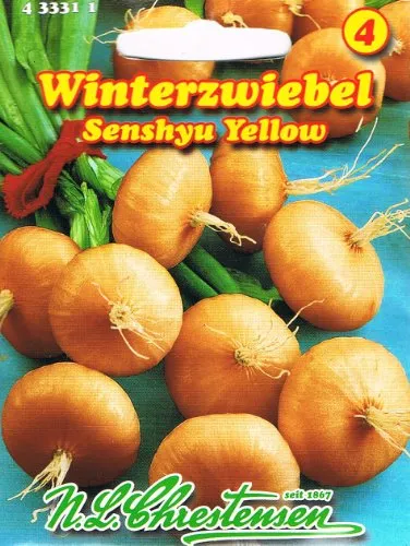 Zwiebel Senshyu Yellow (Portion)