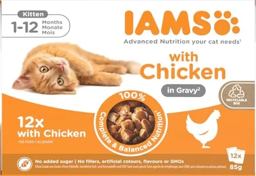IAMS Delights Kitten Nassfutter - Multipack Katzenfutter mit Huhn in Sauce, 99% tierische Proteine für gesunde Entwicklung von Kätzchen 1-12 Monate, 12 x 85g