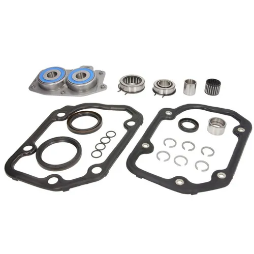 Lager, Schaltgetriebe INA 462 0055 10 von LuK