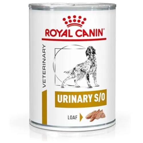 Royal Canin Veterinary Urinary S/O Canine Mousse - 12 x 410 g - Hundefutter für erwachsene Hunde zur Behandlung von Struvitsteinen, mit hydralischer Verdünnung zur Verhinderung von Harnsteinbildung.