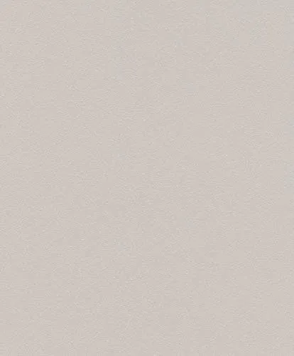 Rasch Tapeten 523188 Vlies Kollektion Sparkling