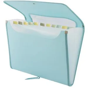 D.RECT Fächermappe 5590 Elegante, A4, mint, aus Kunststoff, 12 Fächer