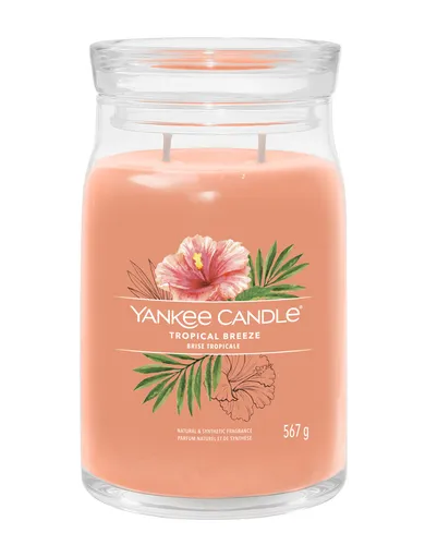 Yankee Candle Signature Tropical Breeze 567 g - Kerzen im Glas mit frischem tropischem Duft, ideal für eine entspannende Atmosphäre im Zuhause.
