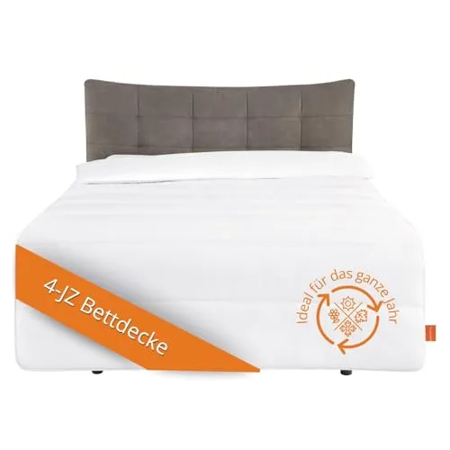 sleepling Energiespardecke 135x200 - 4-Jahreszeitendecke für ganzjährigen Komfort - Bettdecken: 2-teilige Steppdecke aus 100% Mikrofaser, allergikerfreundlich und waschbar bis 60 Grad. Ideal für erholsamen Schlaf zu jeder Jahreszeit.