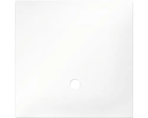 Abdeckscheibe für NanoCube 30 Liter, kurz