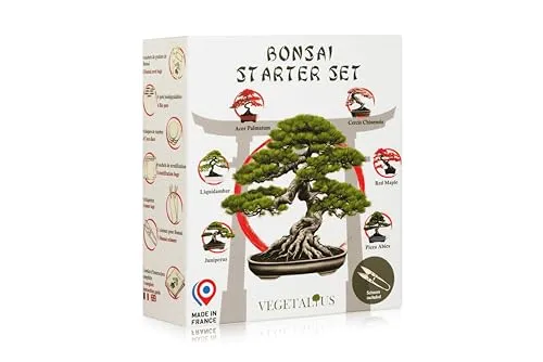 VEGETALIUS Bonsai Komplettset – 6 Samen & Zubehör für Zuhause oder Garten