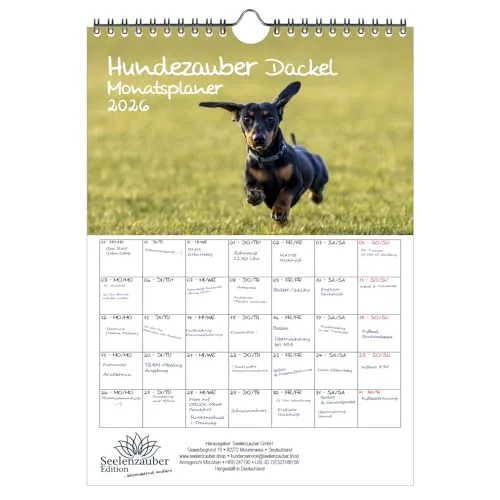 Hundezauber Dackel Planer DIN A4 Kalender für 2026 Welpen und Hunde - Seelenzauber