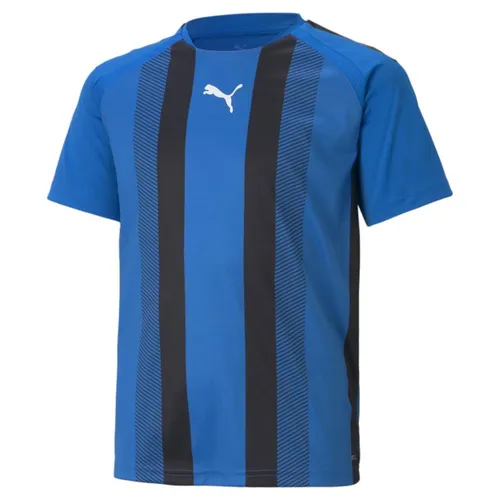 Puma TeamLIGA Striped Performance Trikot Kinder - blau