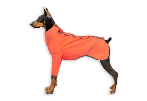 Monkimau Tierjacke Regenmantel Hund in orange - XS