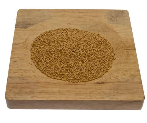 Senfsaat gelb ganz  (1kg)