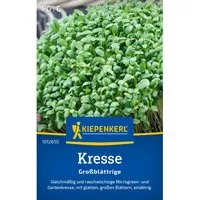 Kiepenkerl Kresse Glatte Kresse großblättrig