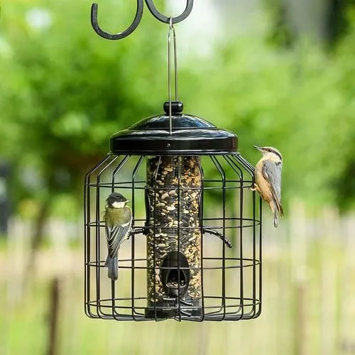 CJ Wildlife Futtersäule für Vögel – Eichhörnchensichere Futtersäule mit Schutzkäfig, wetterfest, Schwarz