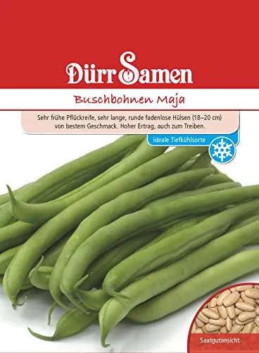Dürr-Samen - Buschbohnen Maja Saatgut