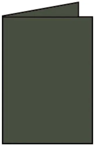 Briefkarte B6 HD 5ST forest