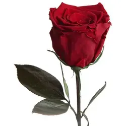 Kunstblumen von Rosemarie Schulz