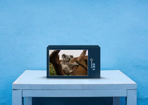 hansepuzzle 70500 - Koalabär Puzzle, 130 Teile, Tierwelt, 28,7 x 20,0cm mit hochwertiger Aufbewahrung, Kartonbox und wiederverschließbarem Beutel