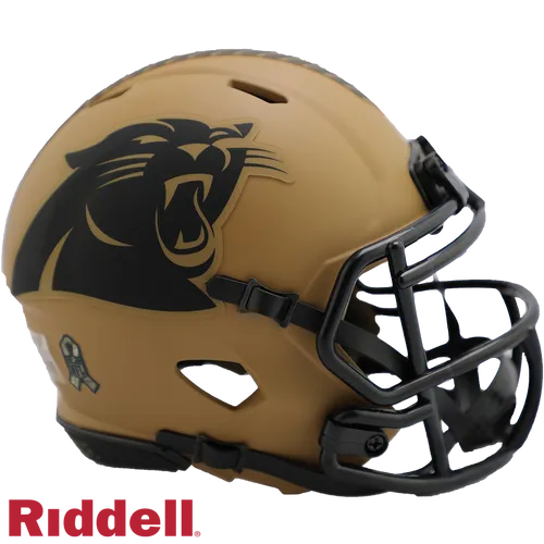 Carolina Panthers NFL Riddell Speed Mini Helm 2023 Salute Service Sammler