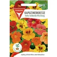 FRANKONIA Kapuzinerkresse Hohe Rankende Mischung