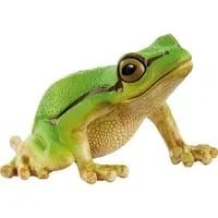 Wild Life Europäischer Laubfrosch, Spielfigur von Schleich