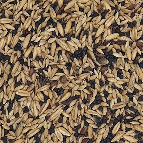 Kanarienfutter mit Rübsen - Gladen 5kg