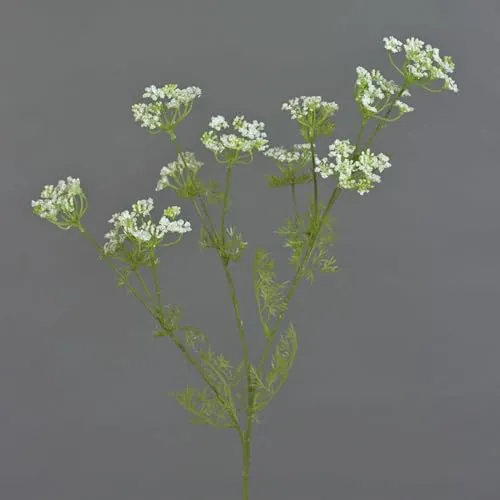 artplants.de Deko Zweig Dillzweig WINCENT, weiß-grün, 80cm