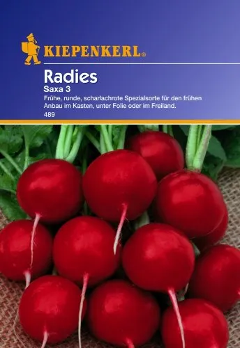 Radies, 'Saxa 3'