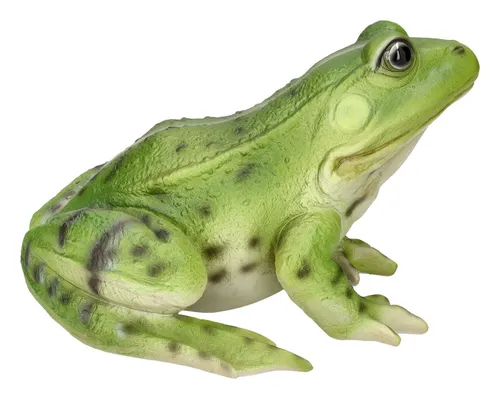 Großer Frosch - Gartenfigur von Figuren Shop GmbH - Gartenfiguren & Skulpturen, mehrfarbige Deko aus Kunststein, wetterfest und ideal für den Garten oder Balkon.