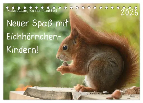 Heike Adam | Neuer Spaß mit Eichhörnchen-Kindern (Tischkalender 2026 DIN A5...