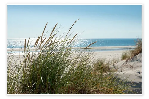 Posterlounge Wandbild Düne, Reiner Würz, erhältlich als Poster, Leinwandbild, Wandsticker oder Acrylglasbild