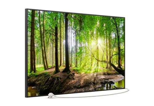 STEINFELD Heizsysteme Infrarotheizung, Bild, 900W 120x74cm, Inklusive Thermostat, viele Motive