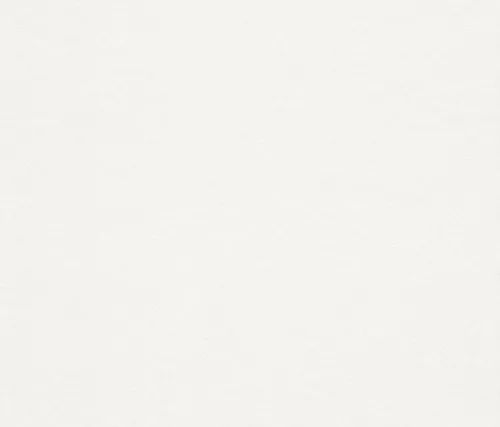 Renoviervlies Malervlies 182804 in weiß von Rasch