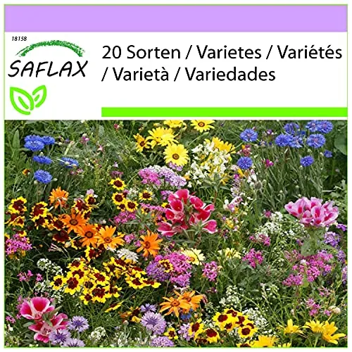 SAFLAX - Wildblumen: Große Gartenzwerge - 1000 Samen - 20 Wildflower Mix