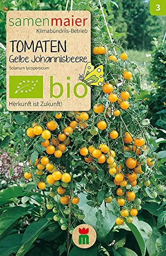 BIO Tomaten Gelbe Johannisbeere Samen in gelb von Samen Maier