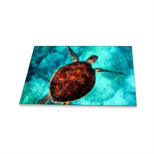 Herdabdeckplatte Ceran 1 Teilig 80x52 Meer Türkis Abdeckung Glas Spritzschutz